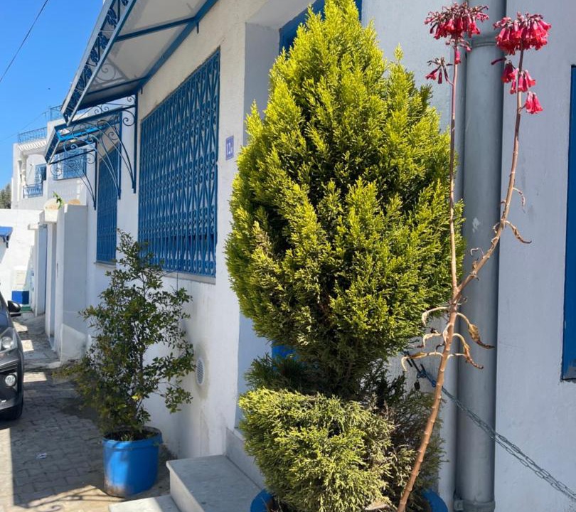 Photo of Others in Sidi Bou Said