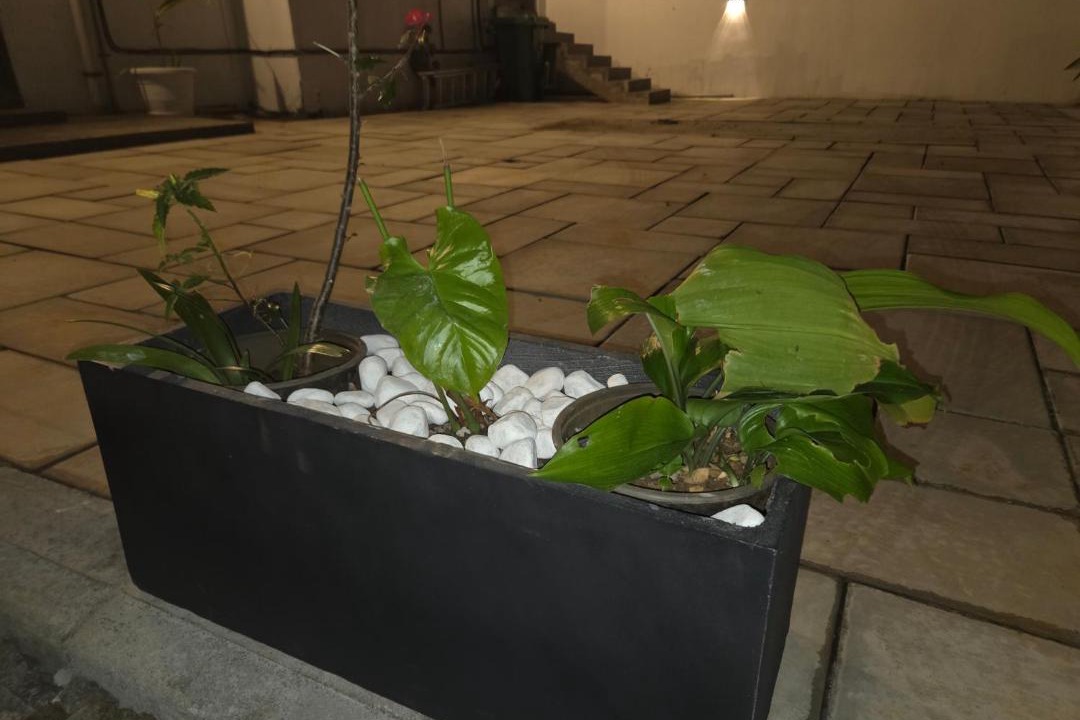 Photo of Outdoor in Calebasses