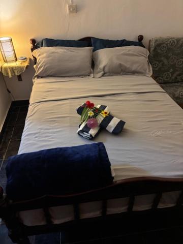 Photo of Bedroom in Port Mathurin