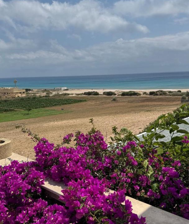 Photo of Others in El Haouaria
