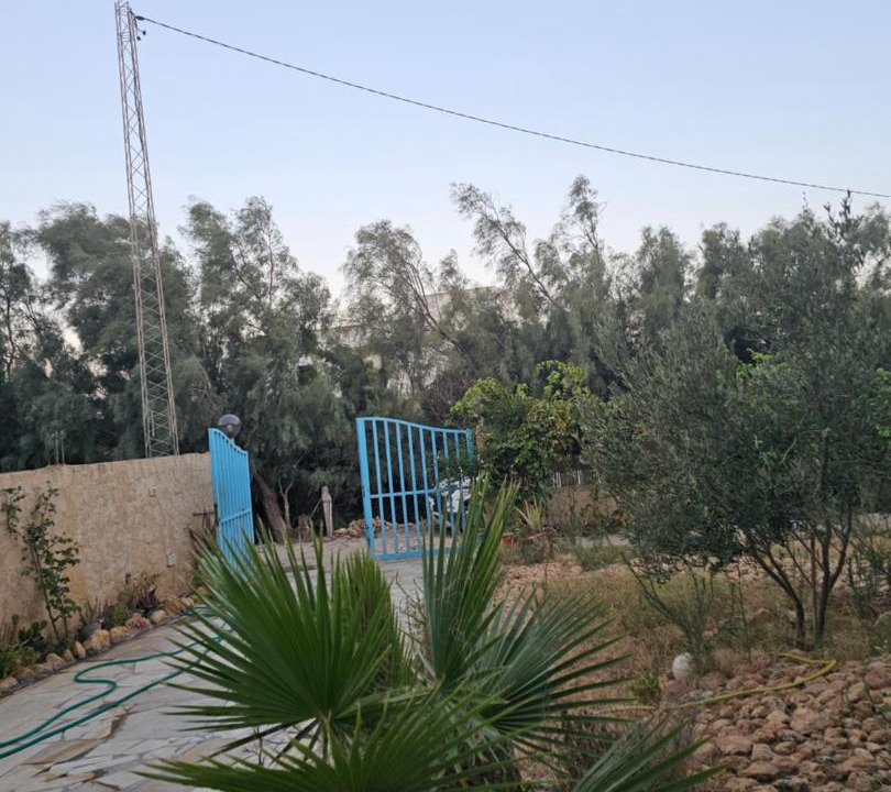 Photo of Others in Aousja