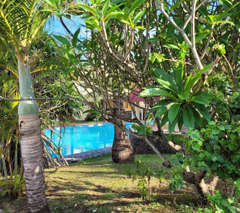Photo of Others in Quatre Cocos