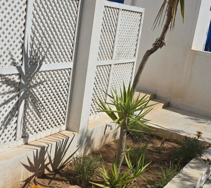 Photo of Others in Playa Sidi Mehrez