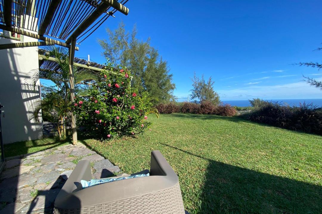 Photo of Others in Coromandel