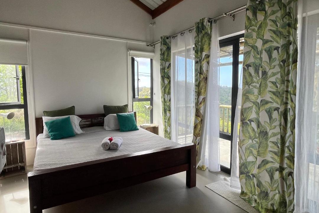 Photo of Others in Coromandel
