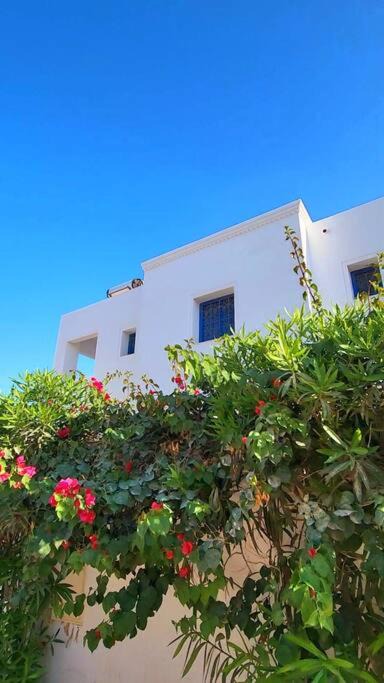 Photo of Others in Djerba Midun