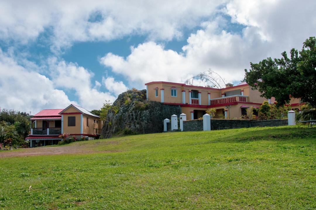 Photo of Others in Coromandel