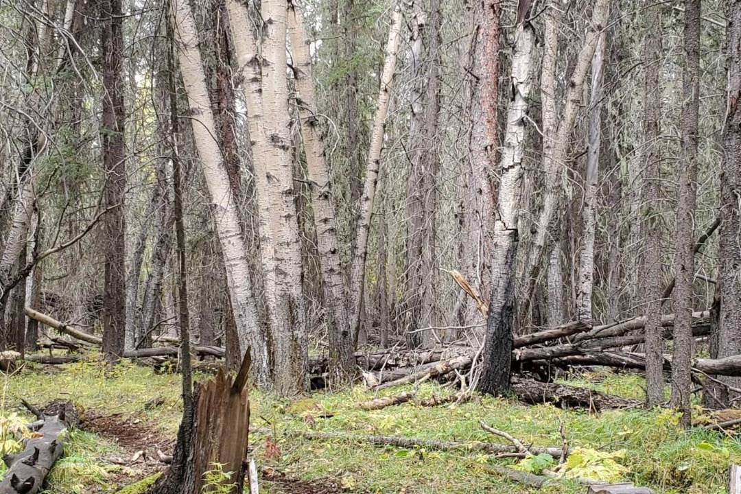 Photo of Others in Rock Lake