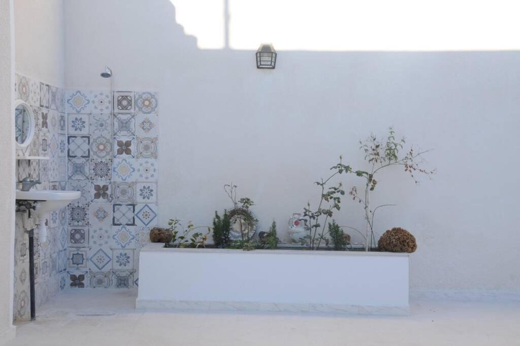 Photo of Others in Djerba Ajim