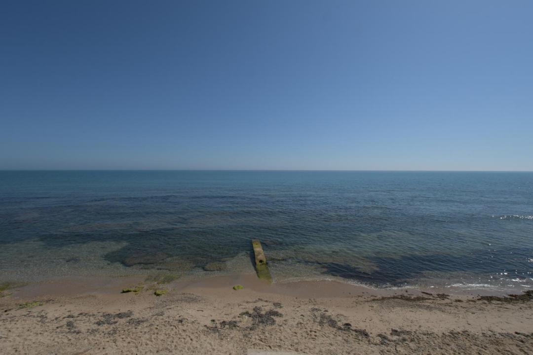 Photo of Others in La Marsa