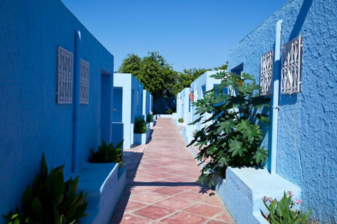 Photo of Others in Hammamet