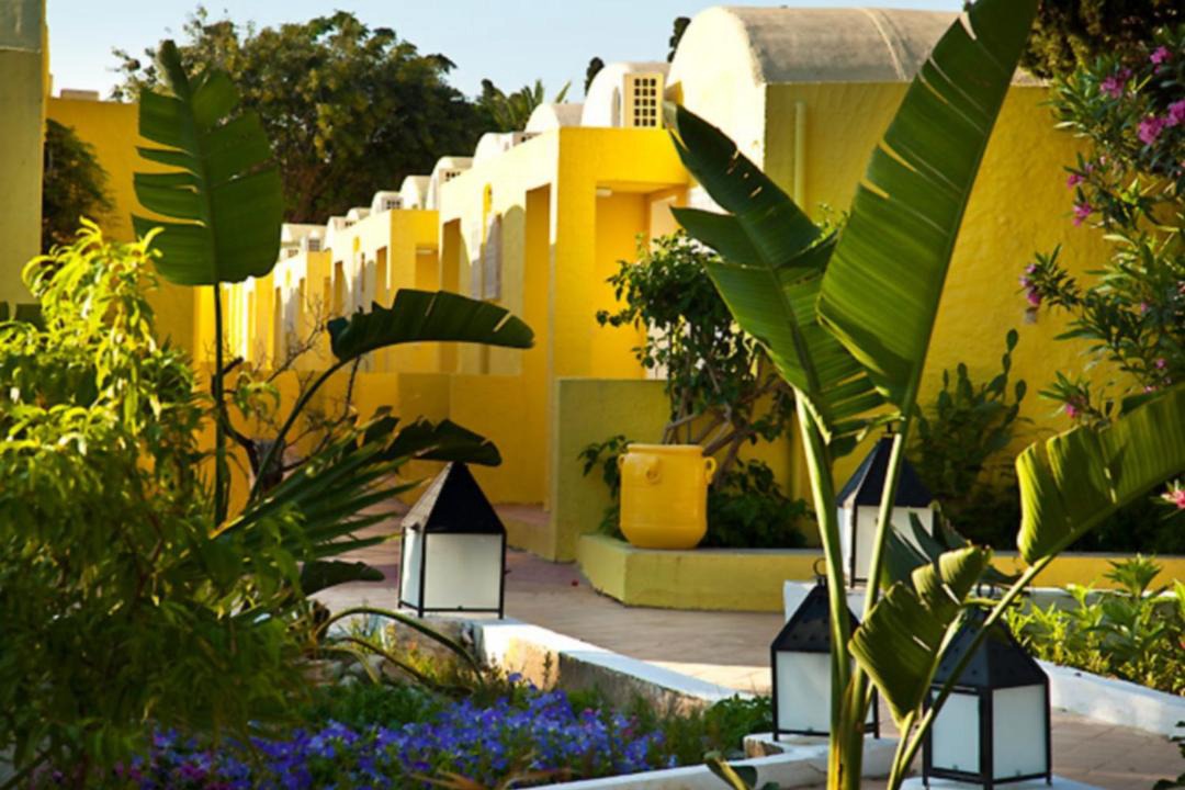 Photo of Others in Hammamet