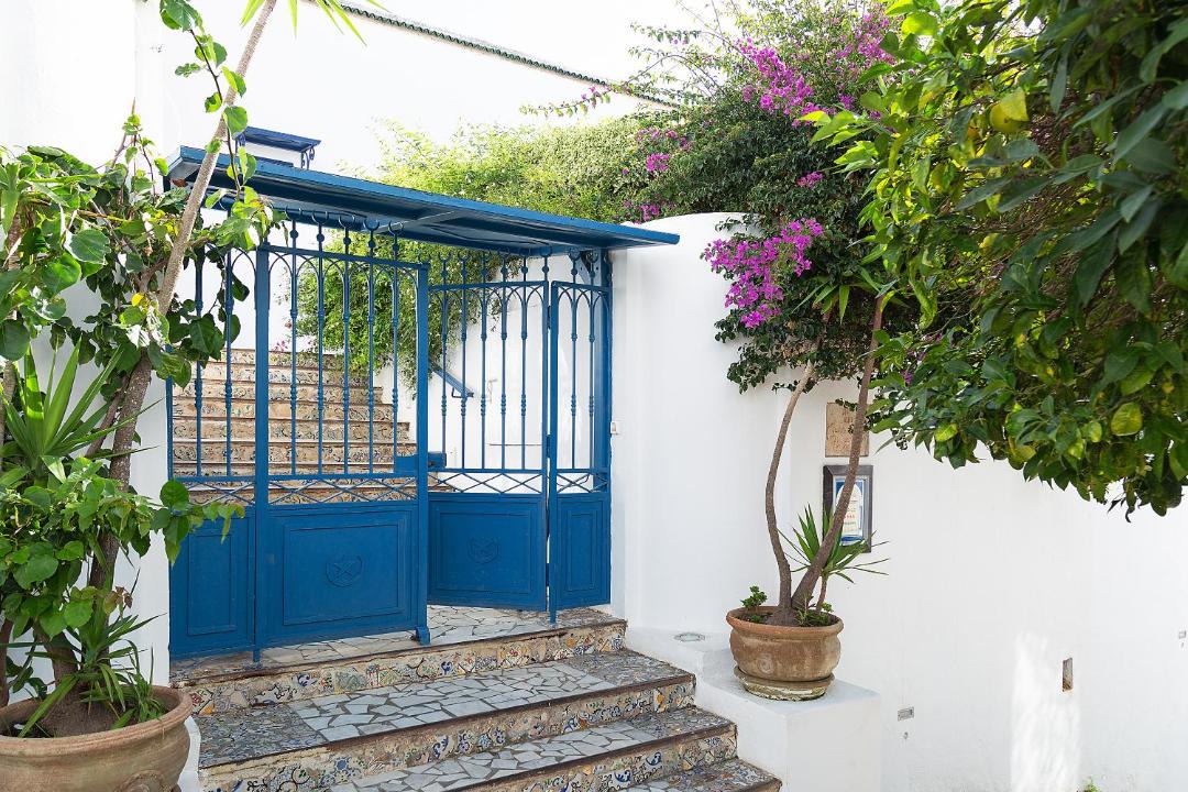 Photo of Others in Sidi Bou Said