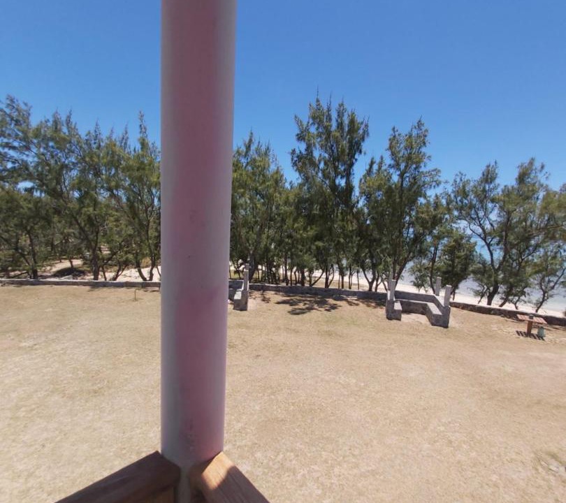 Photo of Others in Coromandel