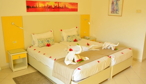 Single Room, Pool View