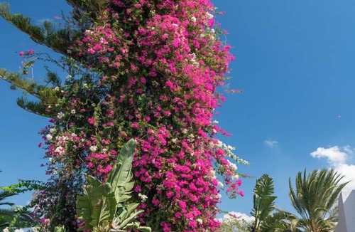 Hammamet Sud Hotel | Le Hammamet Hotel & Spa