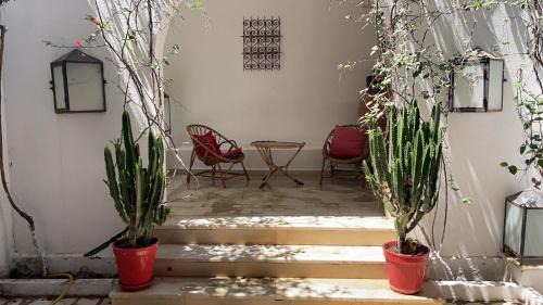 Manzil Bu Zalafah Villa | L orangeraie