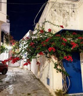 Sidi Bou Said Apartment | Mediterranean Breeze Studio