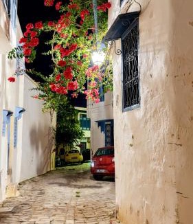 Sidi Bou Said Apartment | Mediterranean Breeze Studio