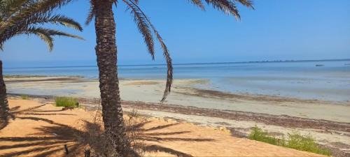 Houmt Souk Apartment | hob jerba