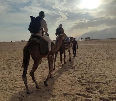 Douz Hotel | Campement Sahara Oasis Douz