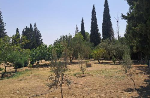 El Battan House | Domaine salma