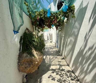 Al Hmeri Villa | Villa rafraf al hmeri