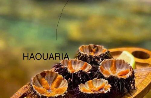 El Haouaria Apartment | Haouaria PANTELLERIA