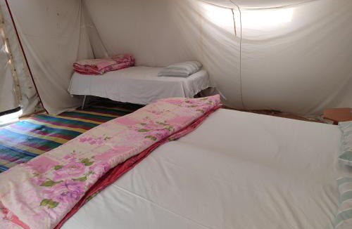 Douz Hotel | Campement Sahara Oasis Douz