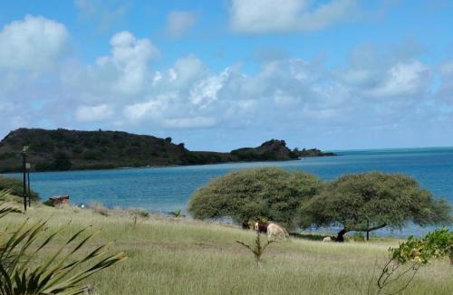 Coromandel House | Or Saison