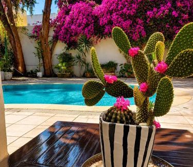 Sidi Daoud Apartment | Fantastic 6B Villa