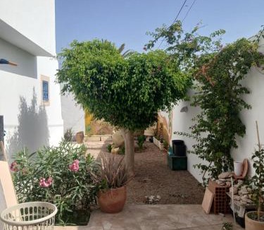 Djerba Midun Bed & Breakfast | Dar Cally Maison d Artiste