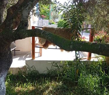 Hammam Al Agzaz Other | casaverde