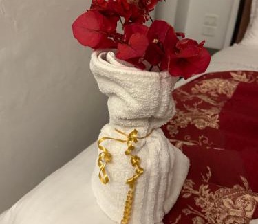 Hammam Al Agzaz House | Guesthouse DarHamdoun