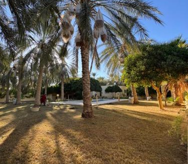 Degache House | Dar dguech