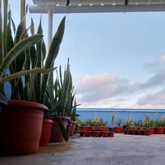 Calodyne Apartment | Bob Apartments