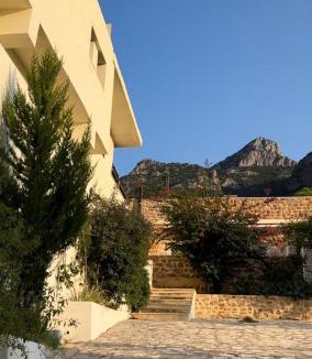 Zaghouan House | Dar Nesri