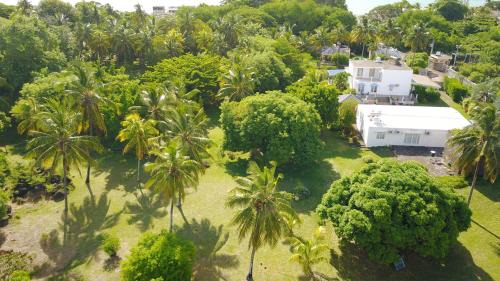 Port Louis Apartment | Lazy Tilapia