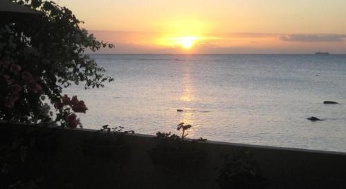 Tombeau Bay House | Le cactus guesthouse