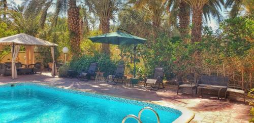 Tozeur Bed & Breakfast | Résidence Loued