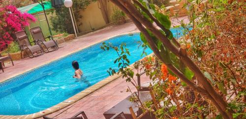 Tozeur Bed & Breakfast | Résidence Loued