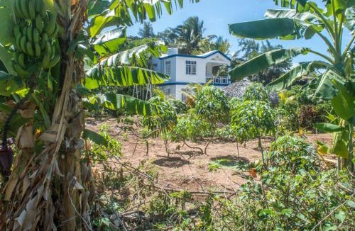 Coromandel House | La Villa Allamanda