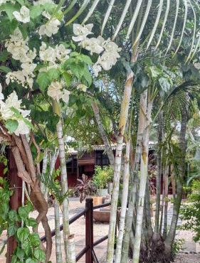 Charming house in Albion + enclosed garden and shared pool