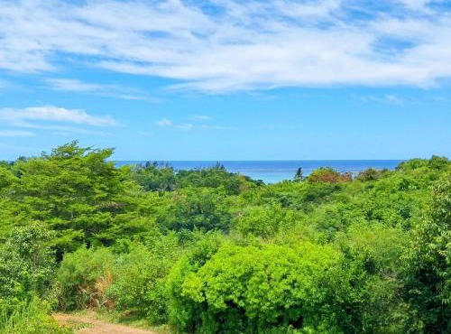 Bel ombre's Panoramic view