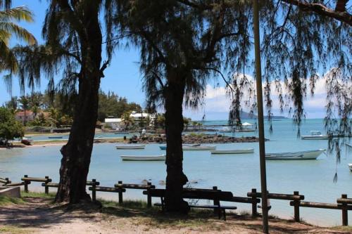 Whynot Mauritius