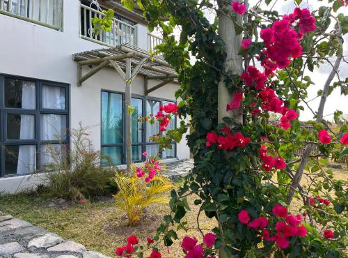 COCO MANGO Villa